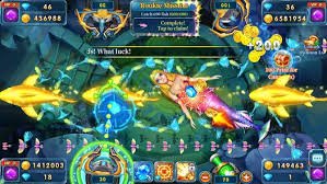 y444 game