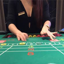 y444 game
